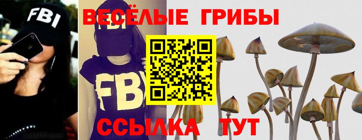 Псилоцибиновые грибы Magic Shrooms Сочи